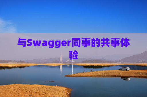 与Swagger同事的共事体验