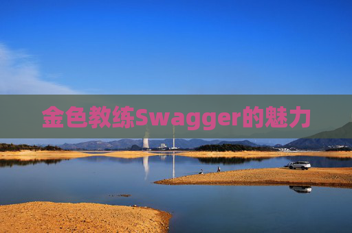 金色教练Swagger的魅力