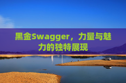 黑金Swagger，力量与魅力的独特展现