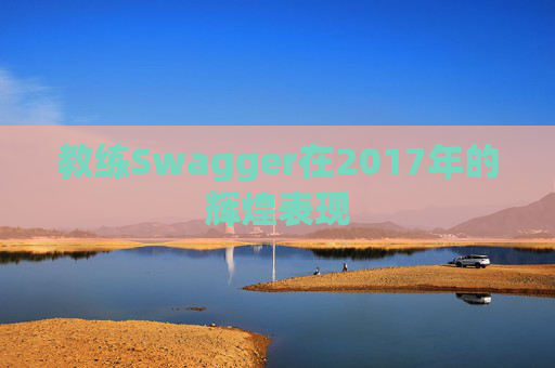 教练Swagger在2017年的辉煌表现