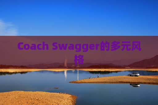 Coach Swagger的多元风格