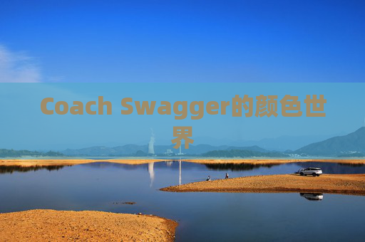 Coach Swagger的颜色世界