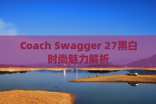 Coach Swagger 27黑白时尚魅力解析