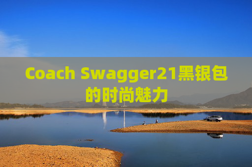 Coach Swagger21黑银包的时尚魅力