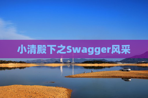小清殿下之Swagger风采